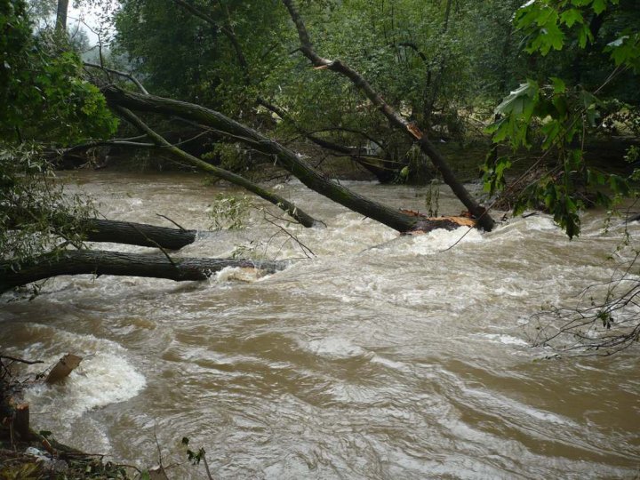 bily_kostel_2010_110