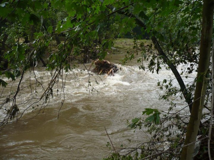 bily_kostel_2010_111